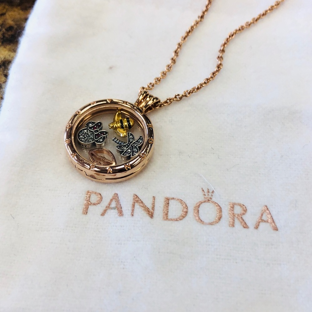 Pandora rose gold floating locket
